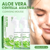  Aloe Vera Centella Asiatica Cleansing Mousse