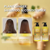 Ginger Hair Care Set