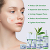 Tea Tree Skin Care Set