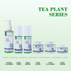 Tea Tree Skin Care Set